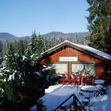 Waldfrieden Gasthof Bad Sachsa