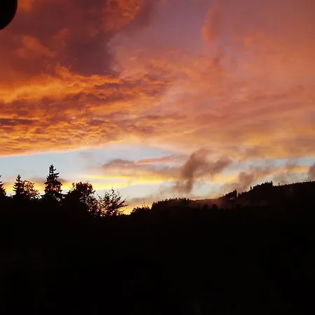 Pensión Waldfrieden Bad Sachsa